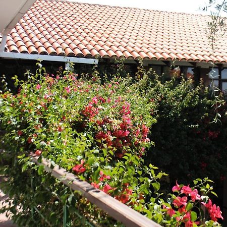 سوكر Hostal Viejo Olivo المظهر الخارجي الصورة