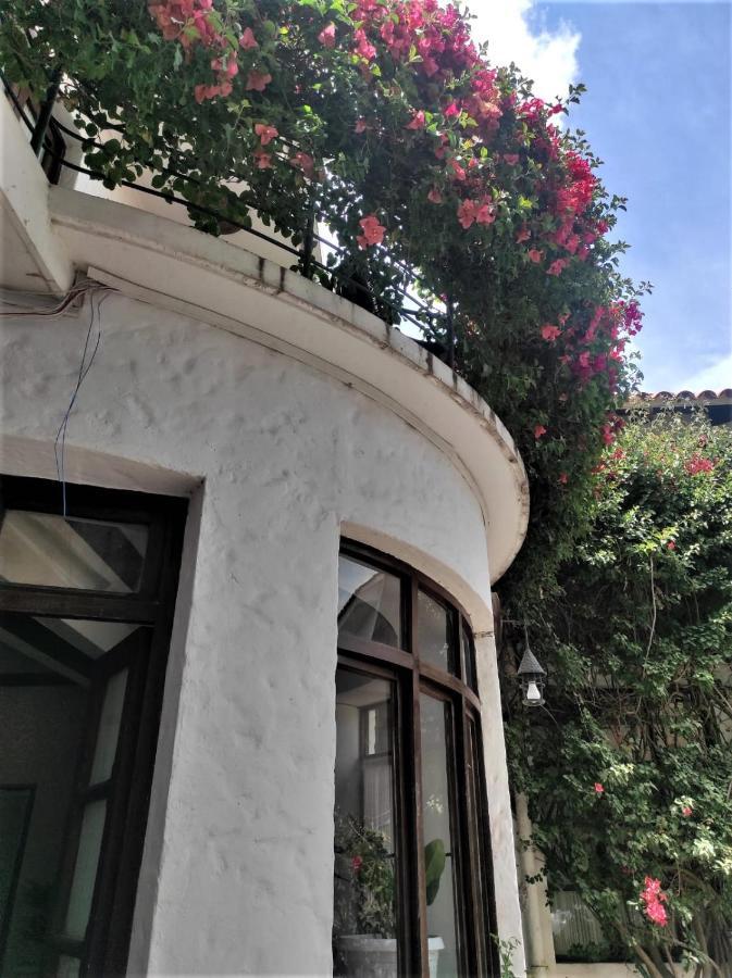 سوكر Hostal Viejo Olivo المظهر الخارجي الصورة