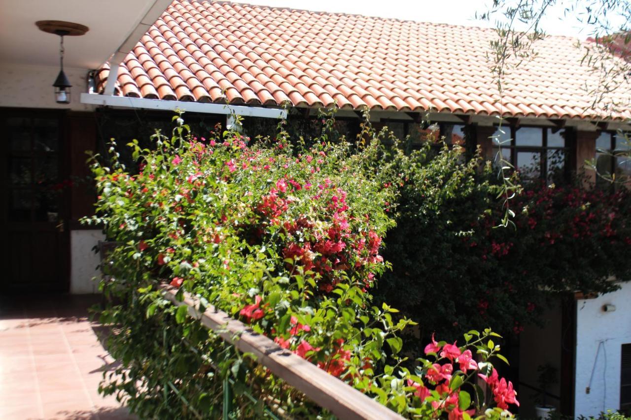 سوكر Hostal Viejo Olivo المظهر الخارجي الصورة