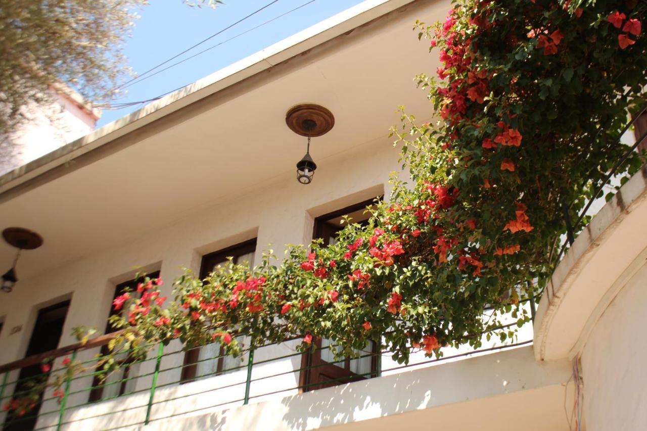 سوكر Hostal Viejo Olivo المظهر الخارجي الصورة