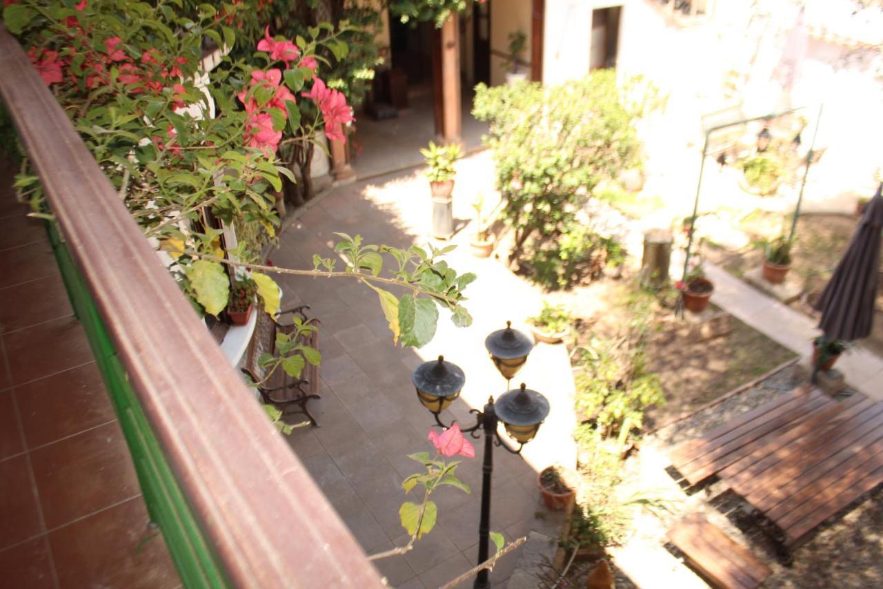 سوكر Hostal Viejo Olivo المظهر الخارجي الصورة